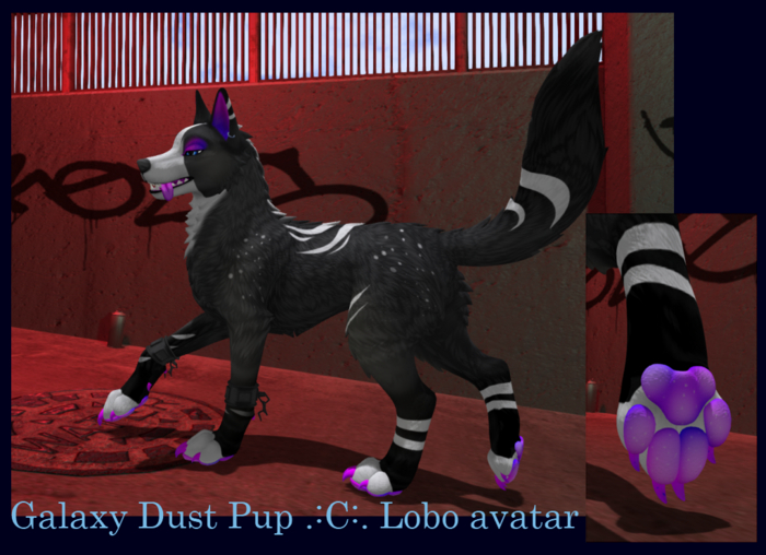 Lobo Galaxy Dust Pup