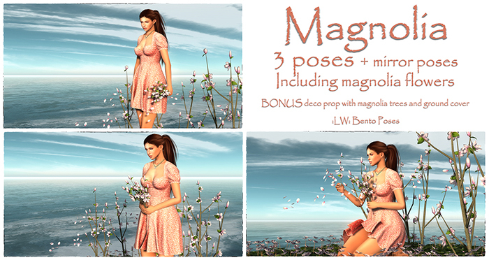 :LW: Bento Poses - Magnolia BOXED