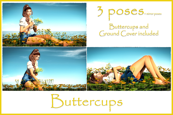 :LW: Bento Poses - Buttercups BOXED