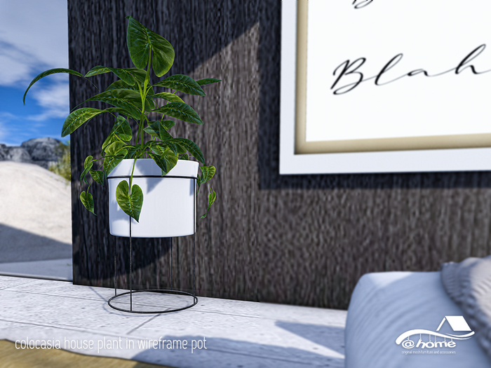 @home: colocasia potted plant wireframe pot holder[l [add me]