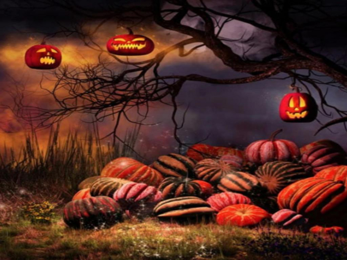 Pumpkin Landscape Texture