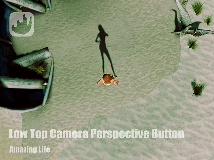 [T] Low Top Camera Perspective Button