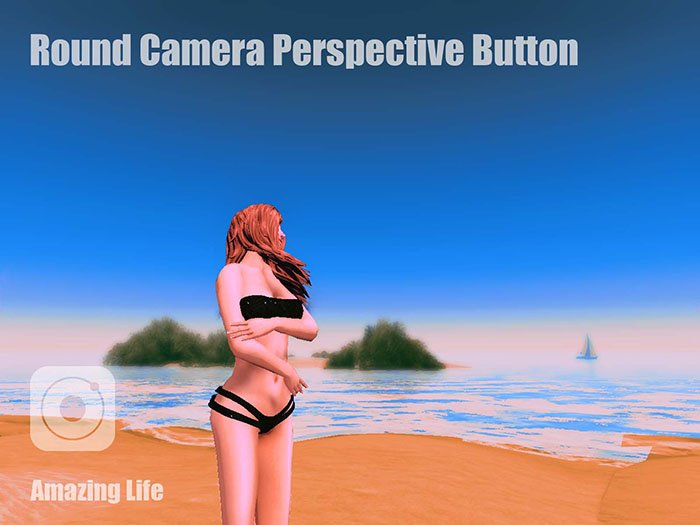 [T] Round Camera Perspective Button