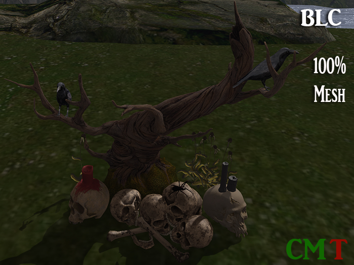 BLC  Skull Ravens