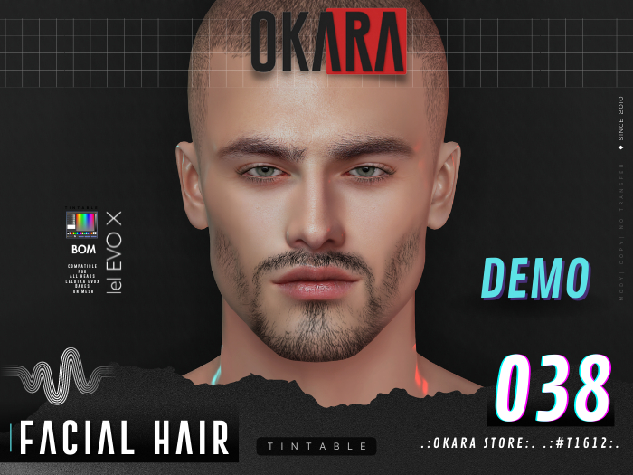 .:OKARA STORE:. .:#T1612:. BEARD-2K22-BOM-EVOX-038 [demo]
