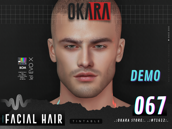 .:OKARA STORE:. .:#T1612:. BEARD-2K22-BOM-EVOX-067 [demo]