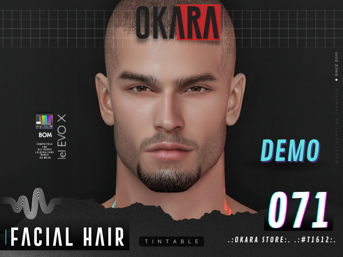 .:OKARA STORE:. .:#T1612:. BEARD-2K22-BOM-EVOX-071 [demo]