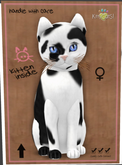 Chateau Cat - Black & White No. 1 Girl! 9T New Born Kitten - Kittycats!
