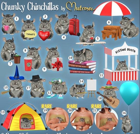 4. Mutresse-Chunky Chinchillas