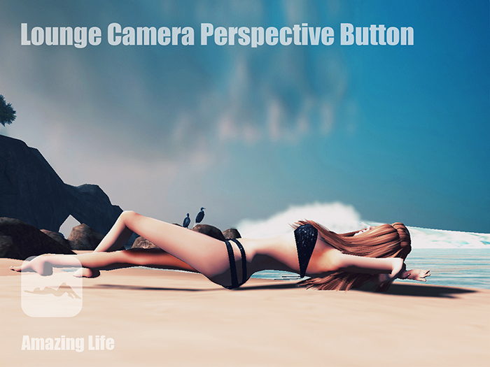 [T] Lounge Camera Perspective Button