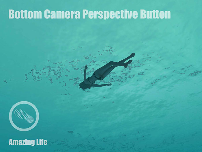 [T] Bottom Camera Perspective Button