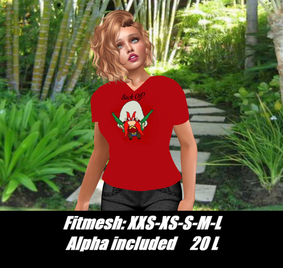 Back Off!-Ladies V-neck T-shirt