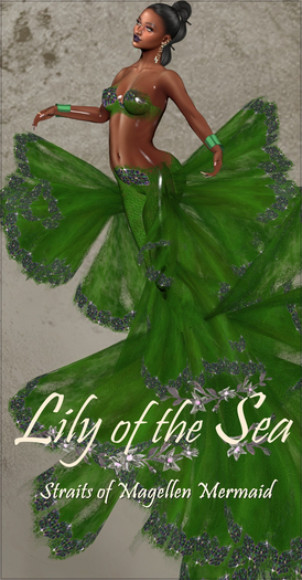 LS Strait of Magellan Mermaid Boxed