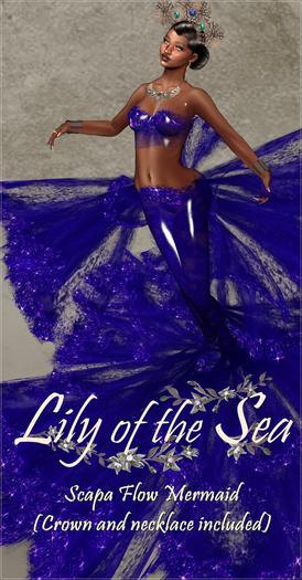 LS Scapa Flow Mermaid Boxed
