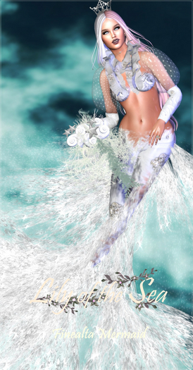 LS Finealta Mermaid Boxed