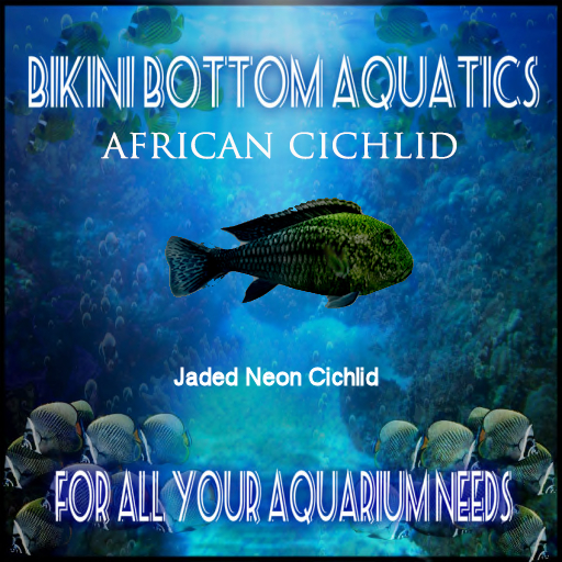 TM Jaded Neon Cichlid SB