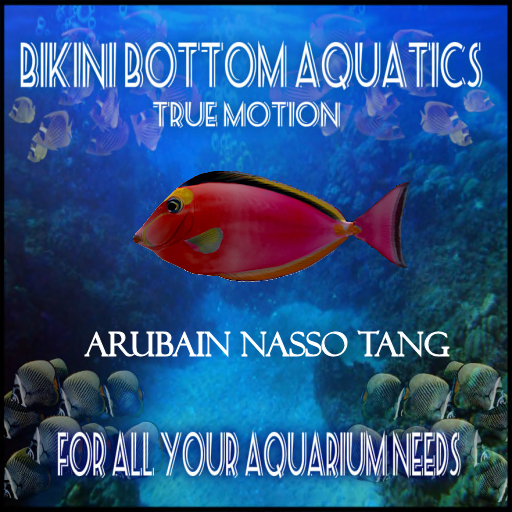 TM  Arubian NasoTang sb