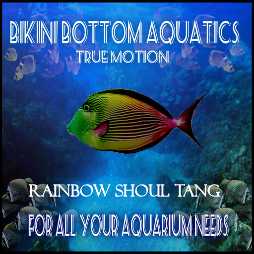 TM Rainbow Shoul Tang sb