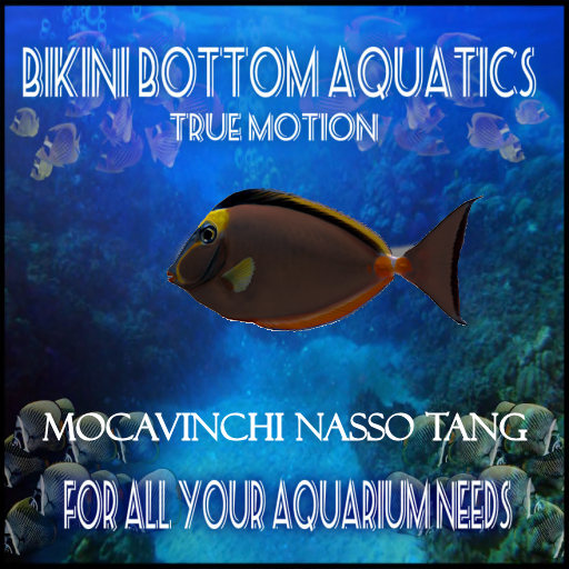 TM Mocaivnchi NasoTang sb