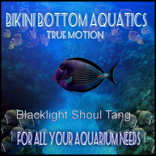 TM Black light Shoul  Tang