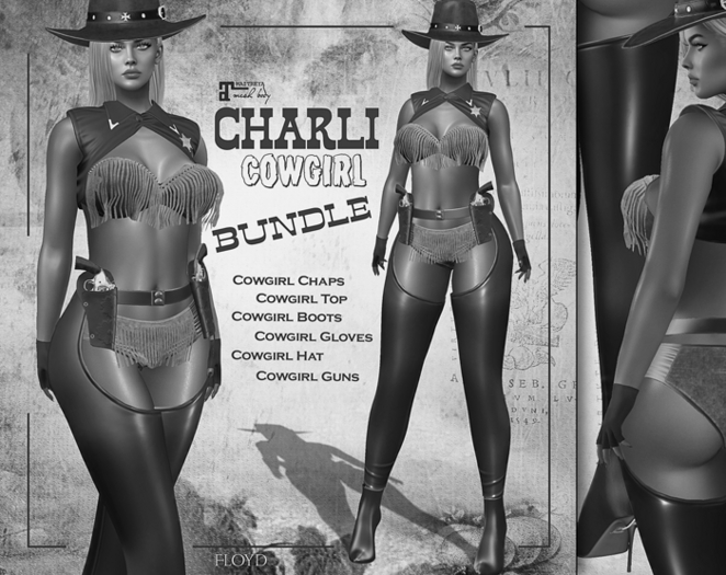 .:FLOYD:.Charli Bundle Demo