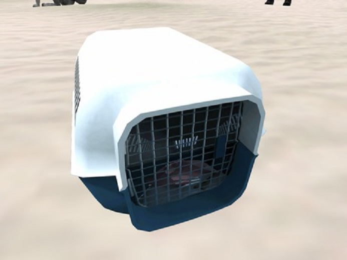 BioBreeds - Corgi Fawn F 1 T