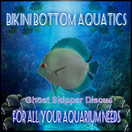 TM  Ghost Skipper Discus F Sb