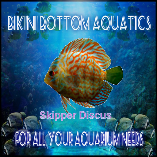 TM Skipper Discus  SB
