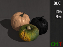 BLC Pumpkin trio 1