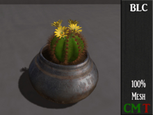 BLC floweringcactuspot bronze dark