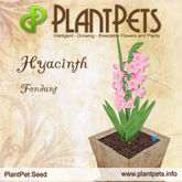 PlantPet Seed [Hyacinth *Fondant*] - common - free breeding - no extra costs 