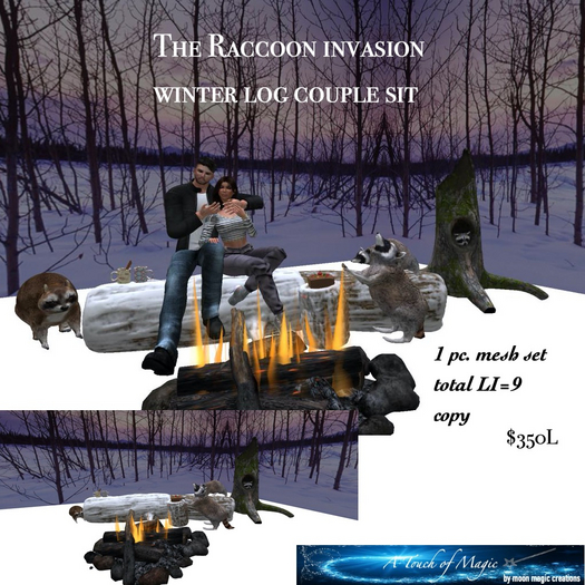 The Raccoon Invasion for 2 -Box LI=9
