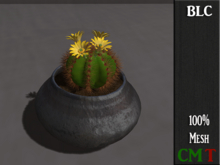BLC floweringcactuspot black