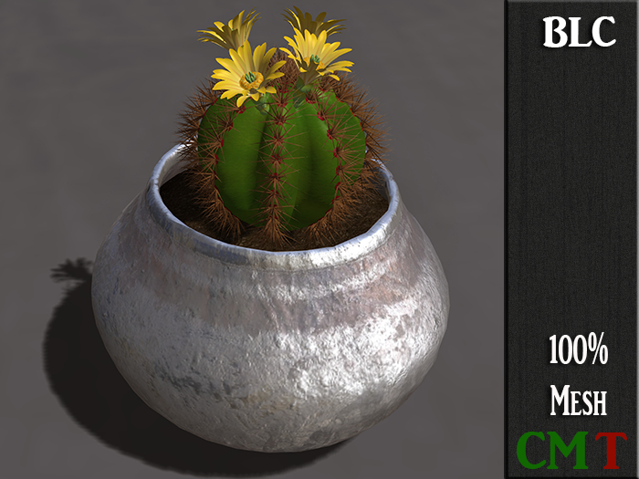BLC floweringcactuspot silver