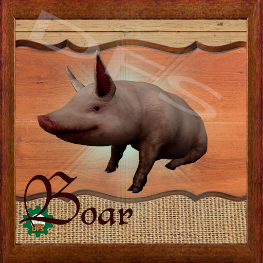 DFS Texture-Boar