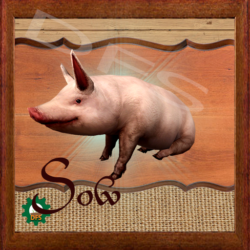 DFS Texture-Sow