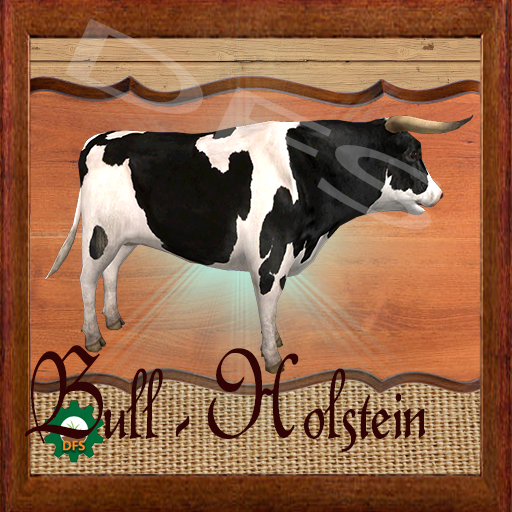 DFS Texture- Bull - Holstein
