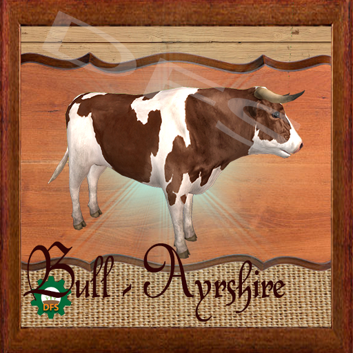 DFS Texture- Bull - Ayrshire