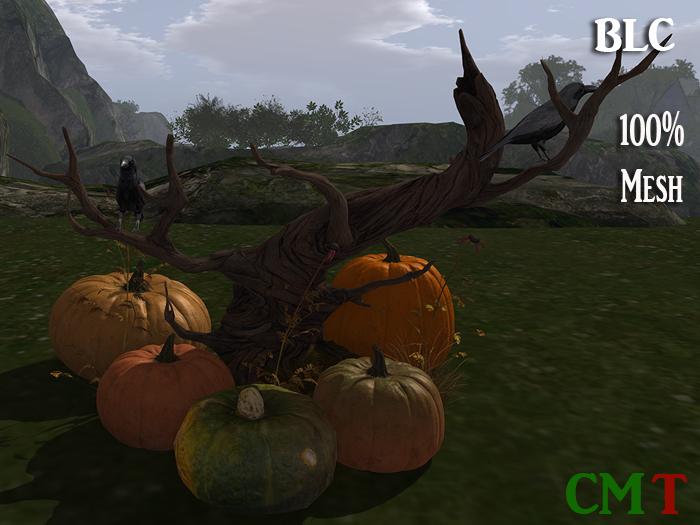 BLC  Ravens Tree Stump pumpkins