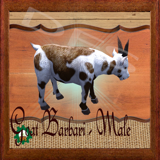 DFS Texture- Goat Barbari - Male
