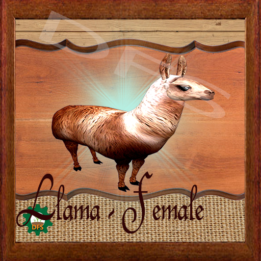 DFS  Texture-Llama - Female