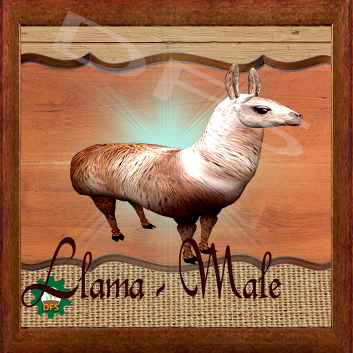 DFSTexture- Llama - Male