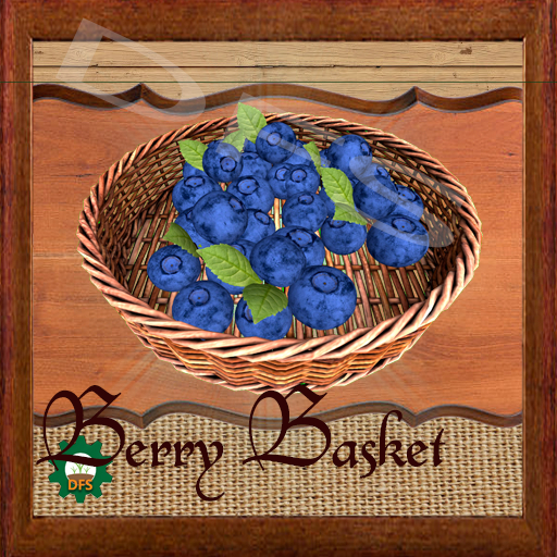 DFS Texture- Berry Basket
