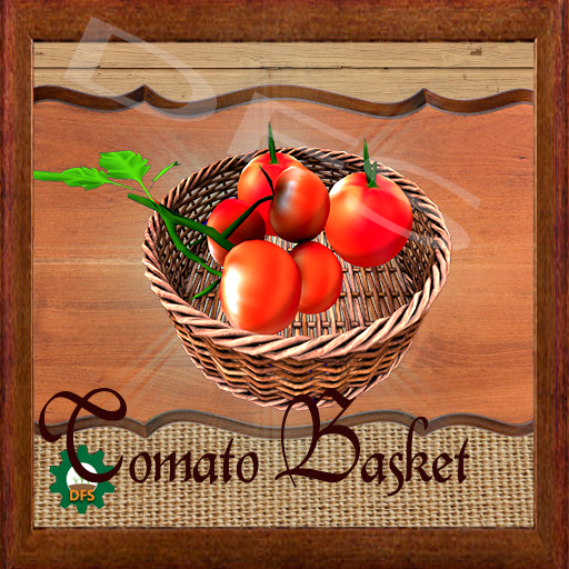 DFS Texture-Tomato Basket