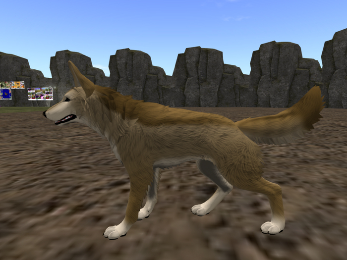 NOOLDEMOD Jackal Wolf Pack #1 (ADD) !!FREEBIE!!