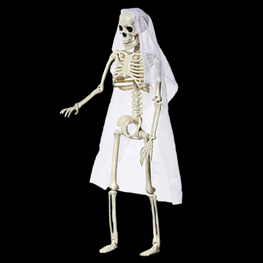 Skeleton Bride