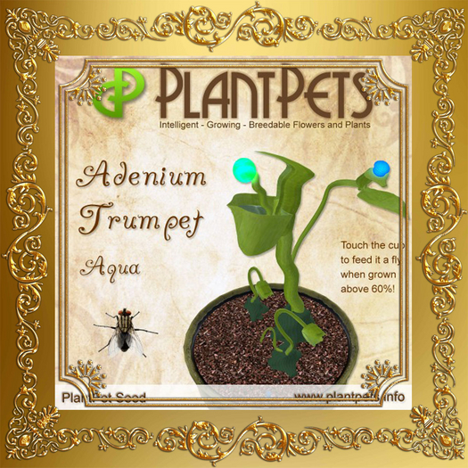 PlantPet Seed [Adenium Trumpet *Aqua*]