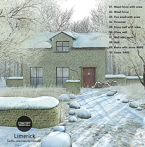 Concept} *09. Limerick. Home with snow. RARE