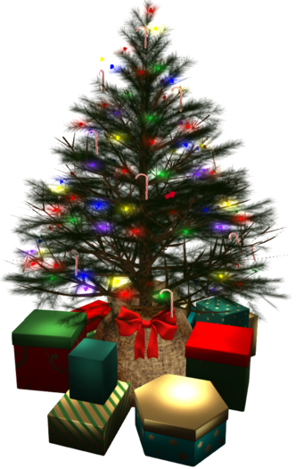 Live Christmas Tree with Presents