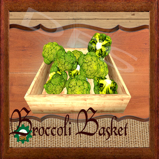 DFS Texture-Broccoli Basket